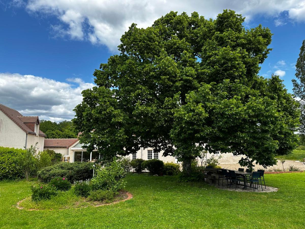 Domaine De Couilleuse Hotel Saint-Laurent-Nouan Kültér fotó