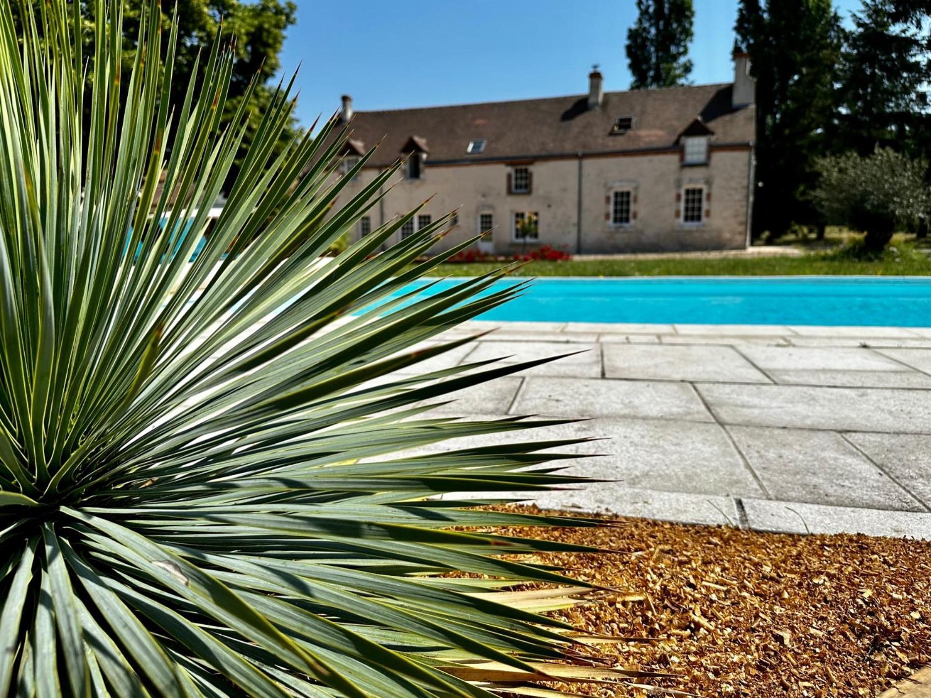 Domaine De Couilleuse Hotel Saint-Laurent-Nouan Kültér fotó