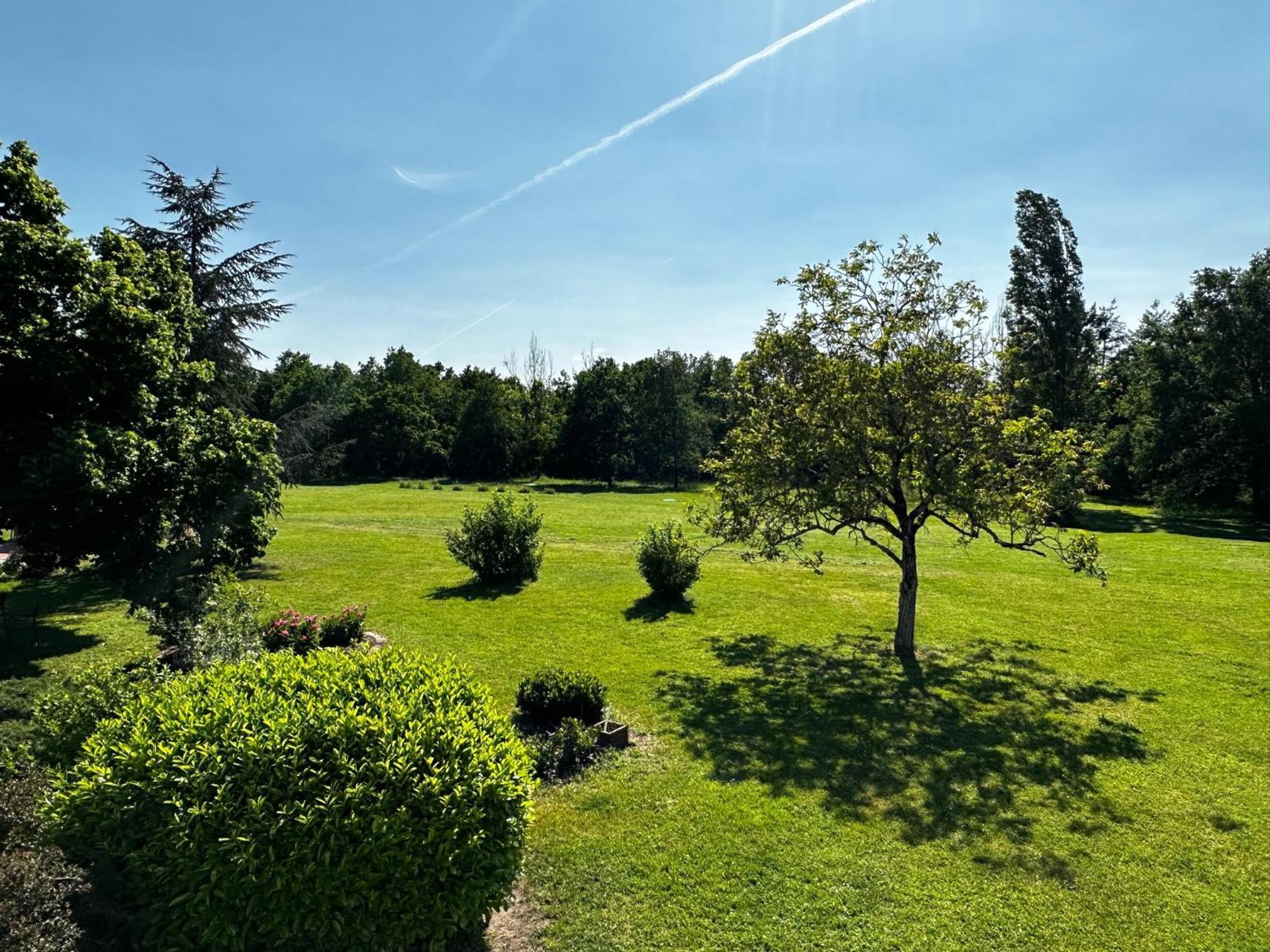 Domaine De Couilleuse Hotel Saint-Laurent-Nouan Kültér fotó